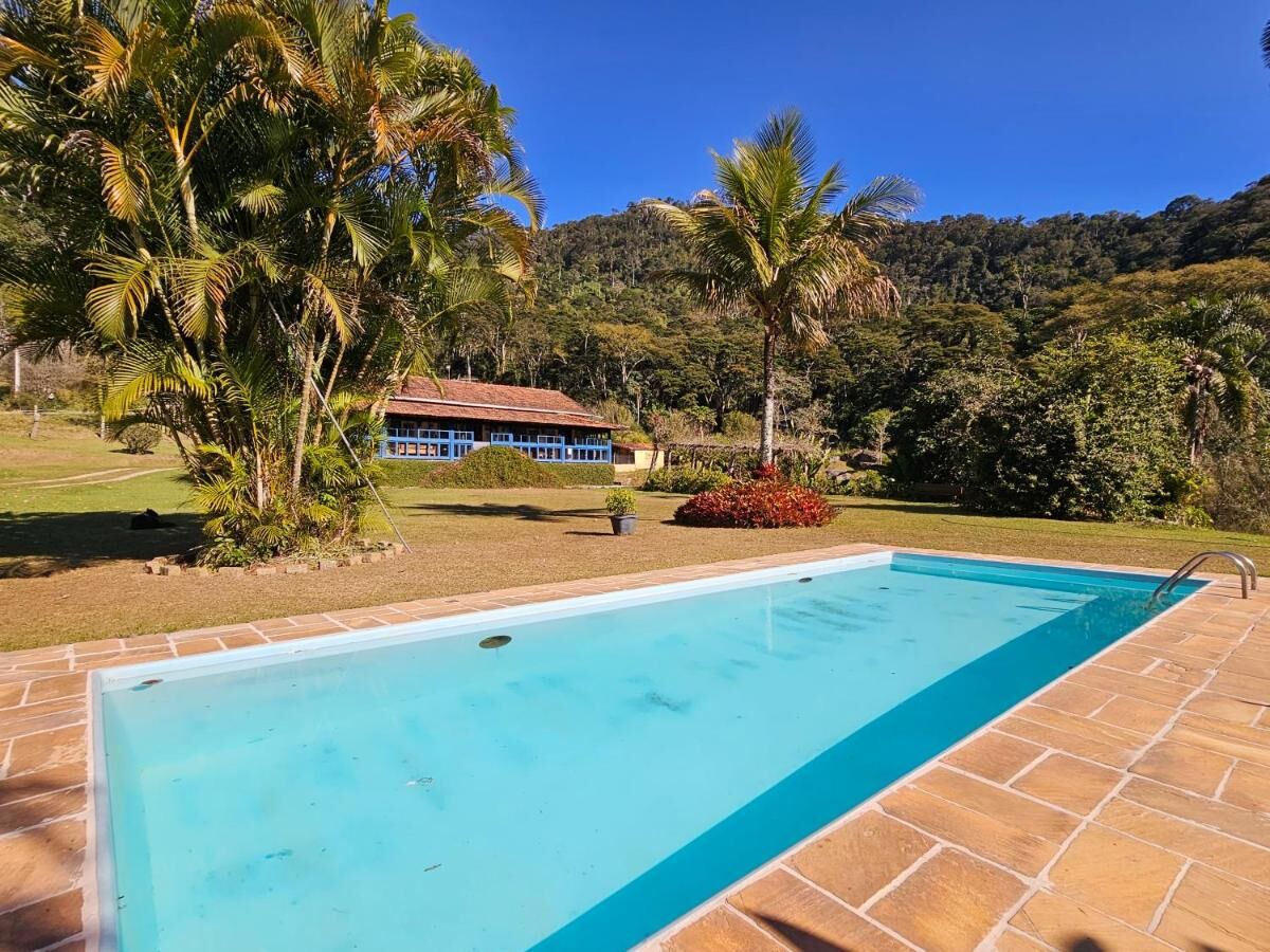 Piscina cercada por palmeiras