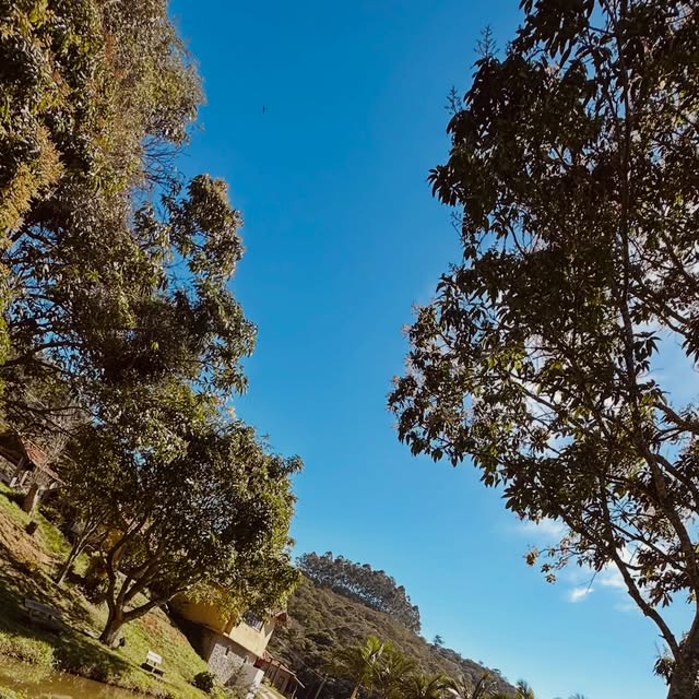 Árvores e céu azul à beira do lago (Instagram)