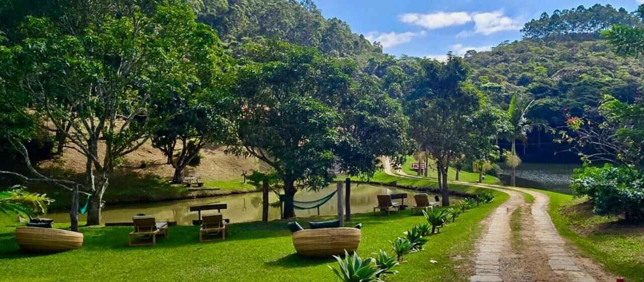 Caminho de terra entre árvores e gramado
