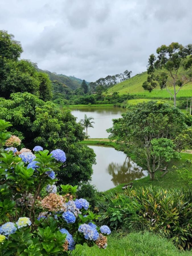 Hortênsias e lago no vale