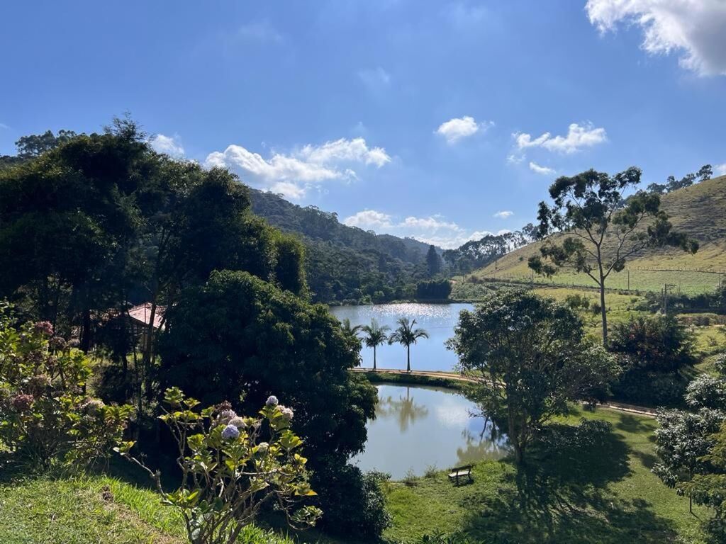 Vista do lago entre árvores