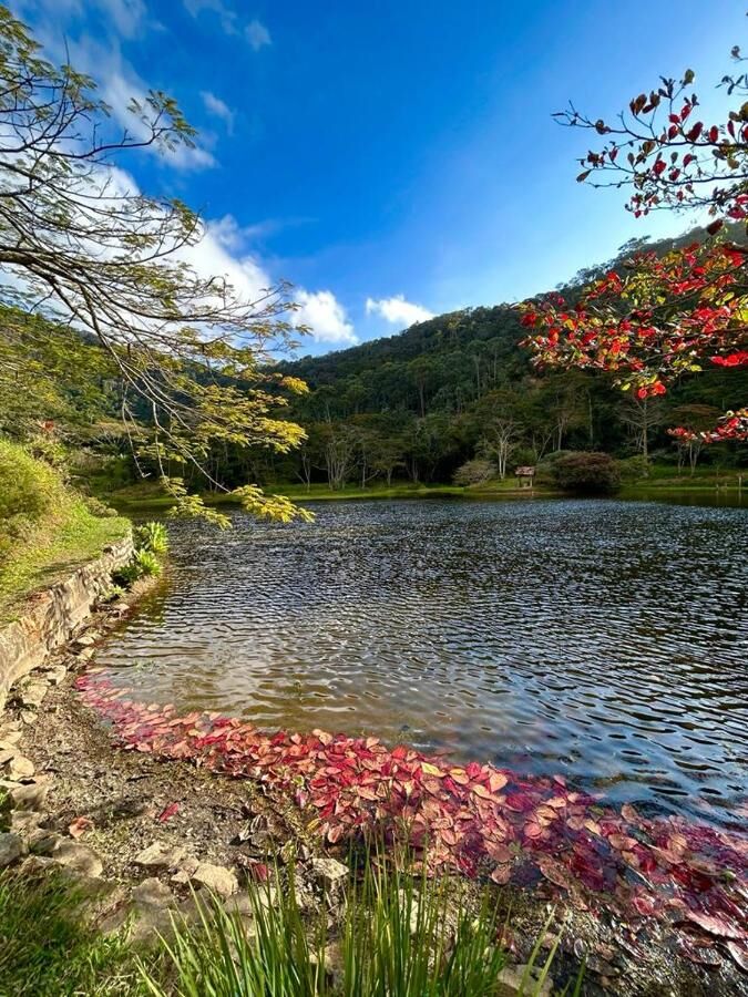 Lago com flores vermelhas na margem