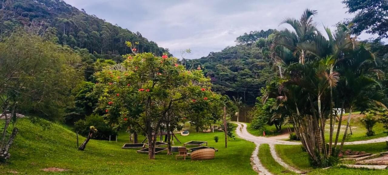 Jardins e palmeiras da fazenda