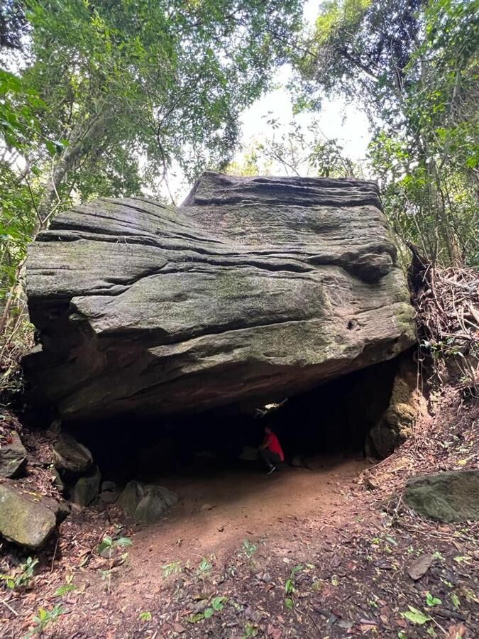 Pedra na trilha da mata